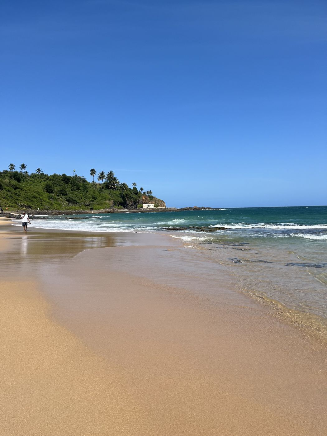 Praia do Rio Vermelho